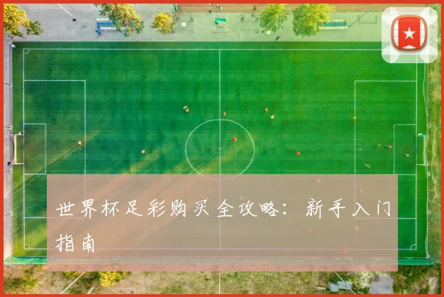世界杯足彩购买全攻略:新手入门指南