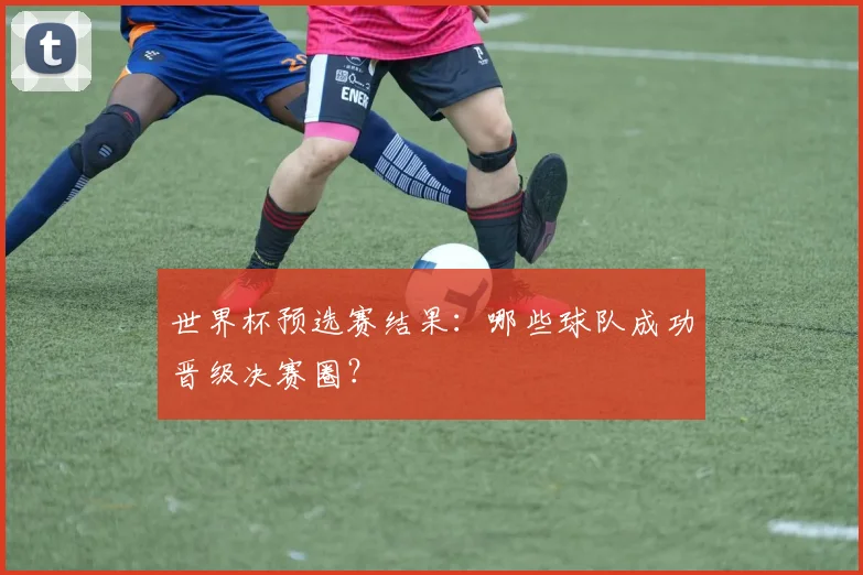 世界杯预选赛结果：哪些球队成功晋级决赛圈？