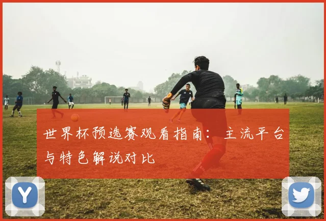 世界杯预选赛观看指南：主流平台与特色解说对比