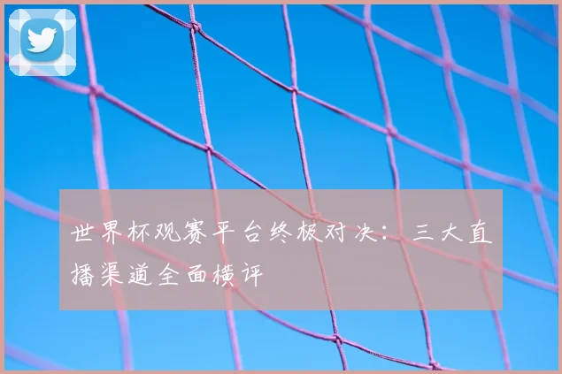 世界杯观赛平台终极对决:三大直播渠道全面横评