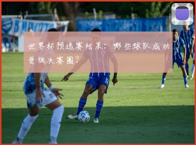 世界杯预选赛结果：哪些球队成功晋级决赛圈？