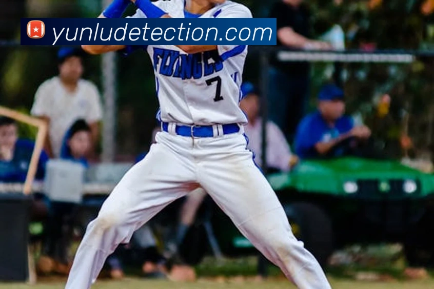 2026世界杯赛事官网服务体系