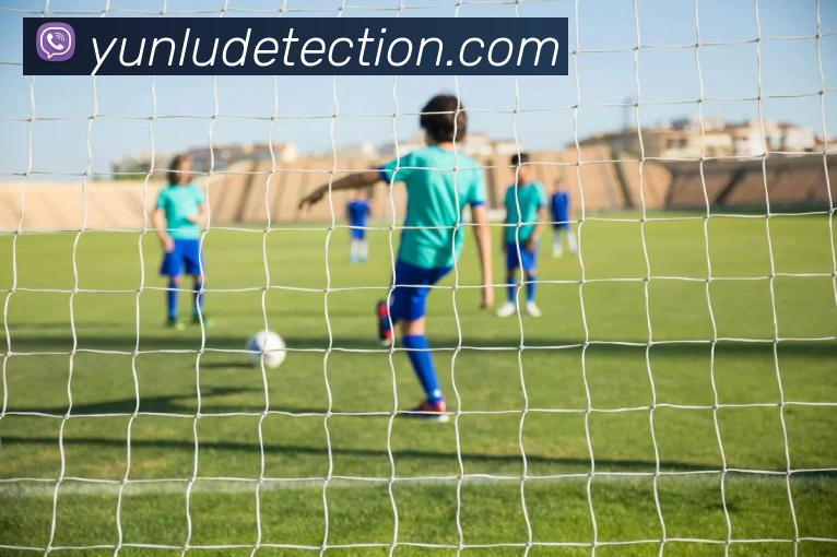 2018世界杯夺冠赔率排行榜：传统强队与冷门球队全对比